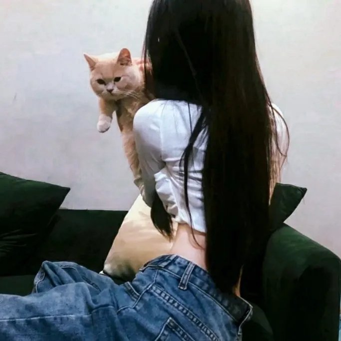 冷月寒秋